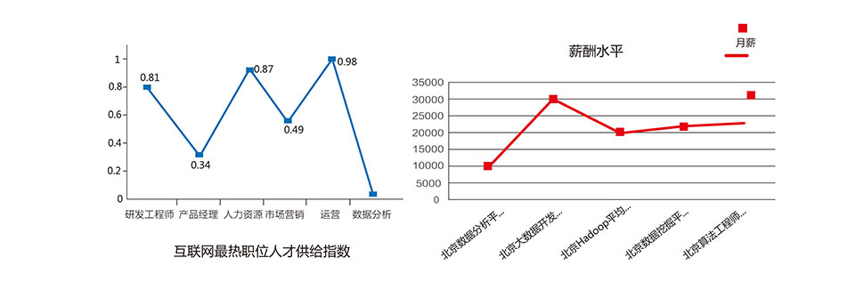 大数据工程师培训项目